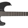 Fender Jim Root Stratocaster, Ebony Fingerboard, Flat Black 717669867812