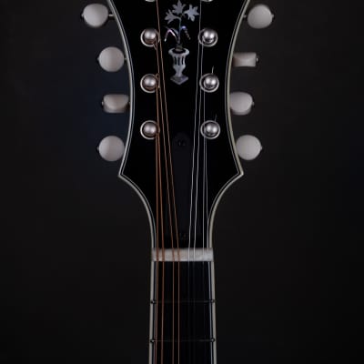 Bourgeois M5-F Aged Tone F-style mandolin Brand New image 13