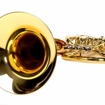 Wisemann  DBH-500 Baritone 2021 - Brass lacquered image 3