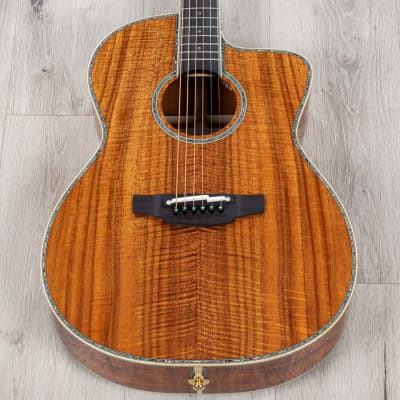 TAKAMINE NATURAL & SUPER NATURAL SERIES acoustic guitars