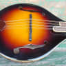 The Loar LM-220-VS A Style Mandolin  All Solid Wood