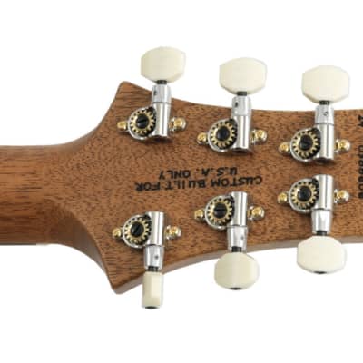 Paul Reed Smith Wood Library Dave Grissom DGT Platinum Metallic Satin Finish Brazilian Fingerboard image 5