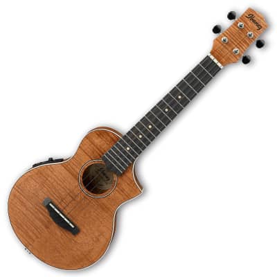 Ibanez UEW15E Concert Acoustic Electric Ukulele - Open Pore Natural for sale