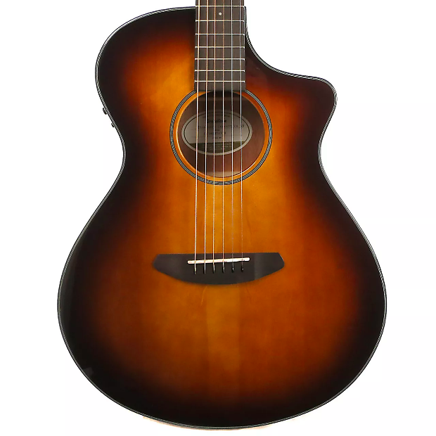 Breedlove Discovery Dreadnought CE image 1