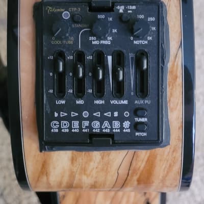 Andrew White Guitars EOS 2S0 2015-2019 - Spalted Maple | Reverb