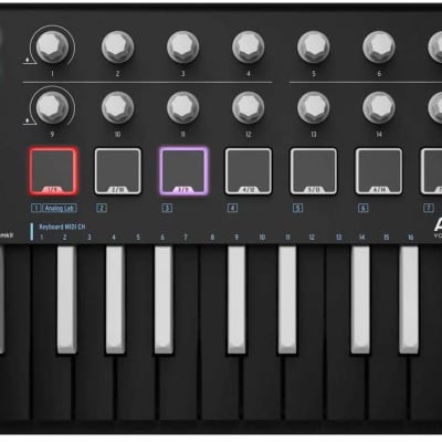 Amazon.com: Arturia MiniLab MKII Inverted MIDI Controller