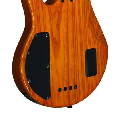 Michael Kelly Guitar Co. Pinnacle 4-String Bass Electric Bass Guitar with Natural Burl Finish image 8