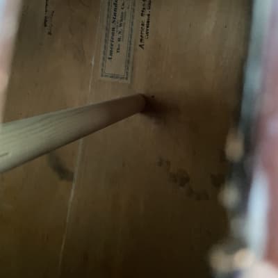 1955 American Standard upright bass image 17