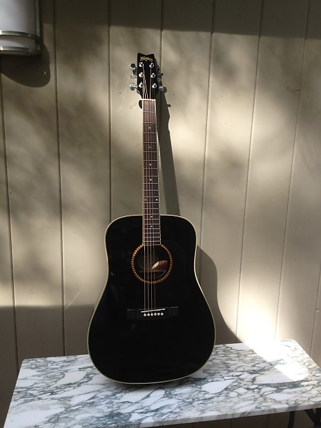 Washburn d10sb acoustic guitar online