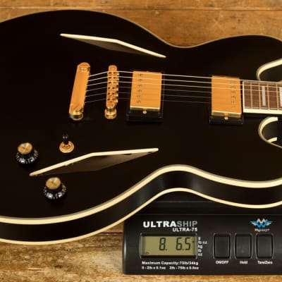 Epiphone Artist Collection | Emily Wolfe Sheraton Stealth - Black Aged Gloss image 8