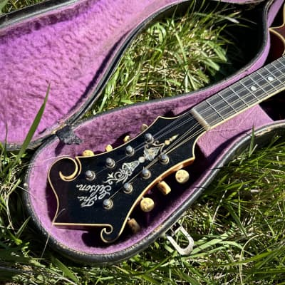 Powerful Gibson F-4 1915 Mandolin *Watch Video image 22