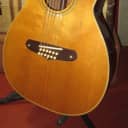 ~1969 Fender Villager 12 String Acoustic Natural w Original Soft Case