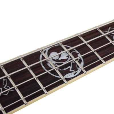 Schecter Dale Stewart Avenger Bass Guitar, Black 217 image 12