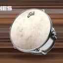Evans '56 Calftone Tom / Snare Drum Batter Head (Sizes 8" To 18") 14"