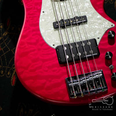 Edwards E-T-170BD L'Arc～en～Ciel tetsuya Model - See Thru