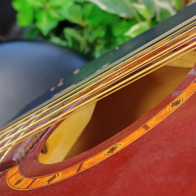 Art & Lutherie 12-String Cedar Antique Burst Acoustic Guitar w/ Hard Case image 21