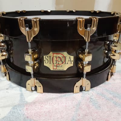 Premier 75th Anniversary Signia 14x5.5" 10-Lug Maple Snare Drum with Wood Hoops, Gold Hardware 1997 - Ebony image 1