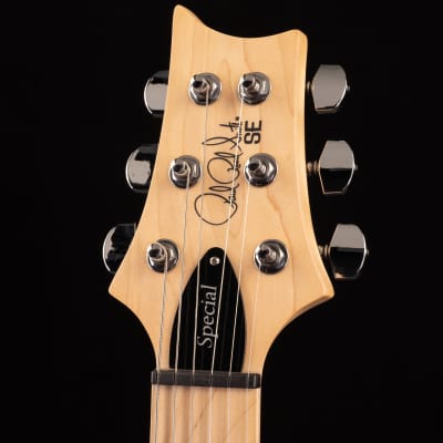 PRS SE Swamp Ash Special Charcoal (537) image 2