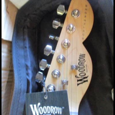 Woodrow Guitar  The NorthEnder Electric Guitar- Miami Heat image 5