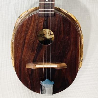 Turtle Shell Acoustic Dulcitar- rosewood top image 1