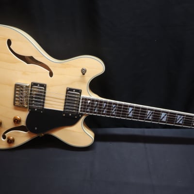 Washburn HB35 Semi-Hollow 2010s - Natural w/ OHSC for sale