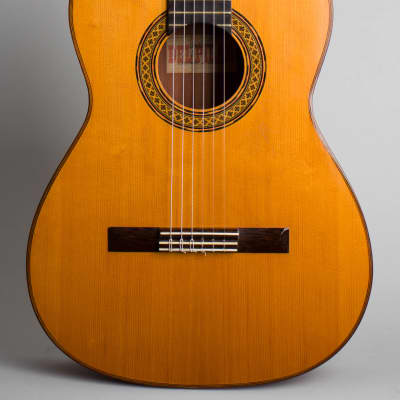 Del Pilar  Classical Guitar (1971), ser. #516, original black alligator grain hard shell case. image 3