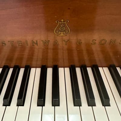 Steinway & Sons M model 5'7'' mahogany grand piano image 6