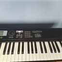 Korg TR76 76-Key Music Workstation Keyboard