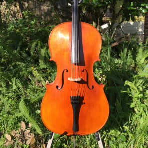 Tenor Violin half size cello tuned GDAE Reverb