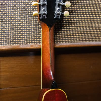 Gibson A4 1921 - Sunburst - VIDEO image 5
