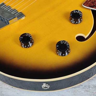 2013 Italia Torino Semi Hollowbody Electric Guitar (Sunburst) image 2