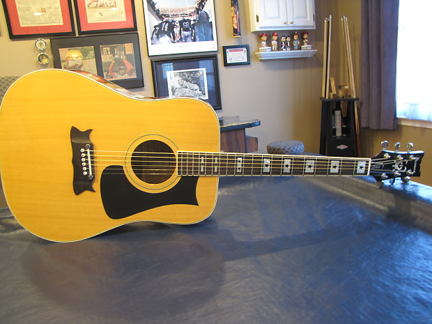 Ibanez artist acoustic shop