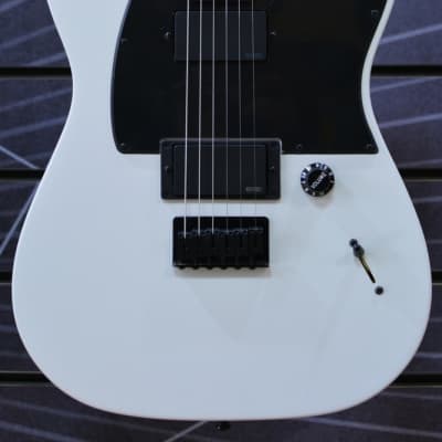 Fender Artist Jim Root Telecaster Flat White Electric Guitar & Deluxe Black Tweed Hardshel image 1