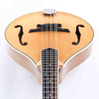 Bourgeois M5A Aged Tone Natural image 14