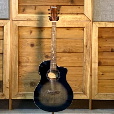 Washburn ea9b hotsell