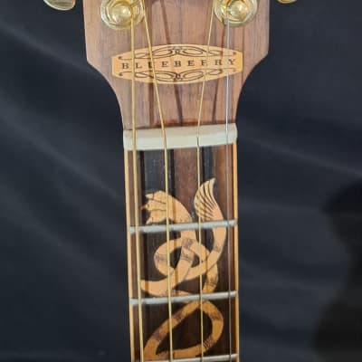 Blueberry  NEW IN STOCK Handmade TENOR Guitar Celtic Motif image 8