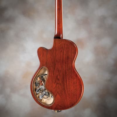 Schneider Guitars / The Phoenix / Burgundy Sunburst Nitro image 4