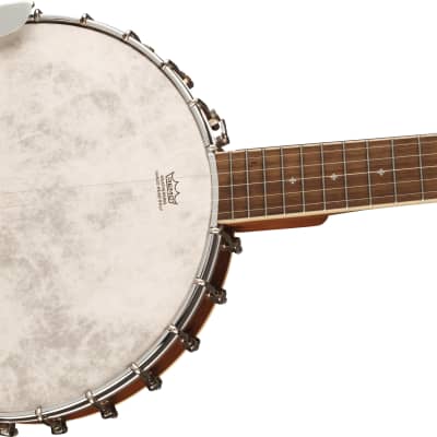 US Made Fender Artist**SALE PENDING** - Used Banjo For Sale at