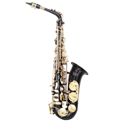 Glarry Alto Saxophone E-Flat Alto SAX Eb with 11reeds, case, carekit, for Students and Beginners 2020s - Black image 2