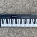 Roland Alpha Juno-1 49-Key Synthesizer -- Shop Vetted