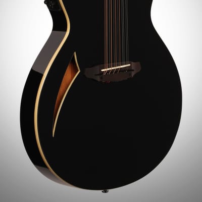 ESP LTD TL-12 Thinline Acoustic-Electric Guitar, 12-String image 3