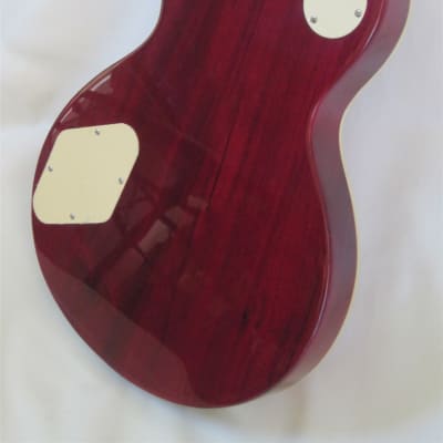 Dillion Professional L Paul style in  Rare Spalted maple. One left! image 5