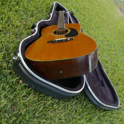 Trump Dreadnought with Vintage Case image 17