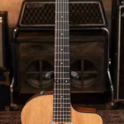 Taylor 254ce Plus Grand Auditorium 12-String Acoustic/Electric Guitar Natural with Aerocase image 4