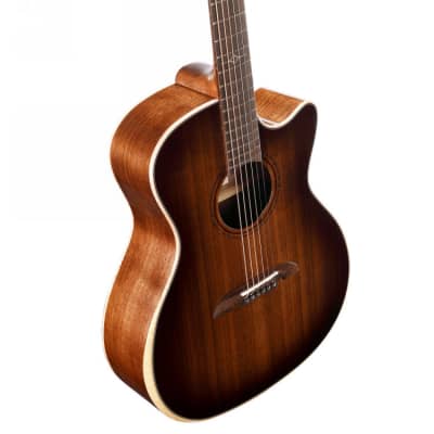 Alvarez AGW77CESHB-DLX Acoustic Electric Guitar image 1