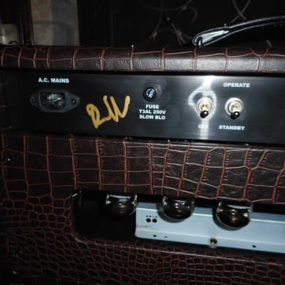 Hamiltone " King Tone Consoul " NOS (head and cab) Ltd 100 W clone of SRV's Dumble with 2X12 Cab 1of50 made!! image 8