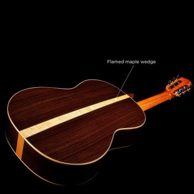 Cordoba C12 SP Classical, All-Solid Woods, Acoustic Nylon String Guitar, Luthier Series, with Humidified Hardshell Case image 7