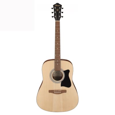 Ibanez V50NJP-OPN Jampack Series Acoustic Guitar Package, Open Pore Natural for sale