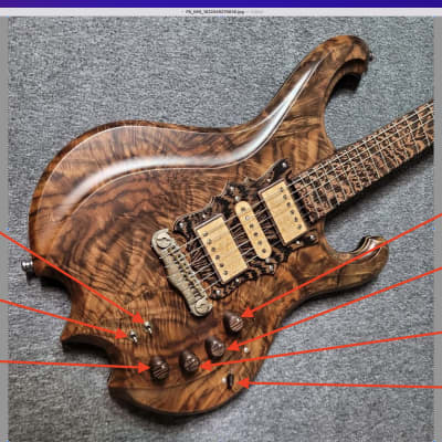 Barlow Guitars Great Horned Owl 2021 - Great Horned Owl #001 Inspired by Jerry Garcia & Alembic image 24