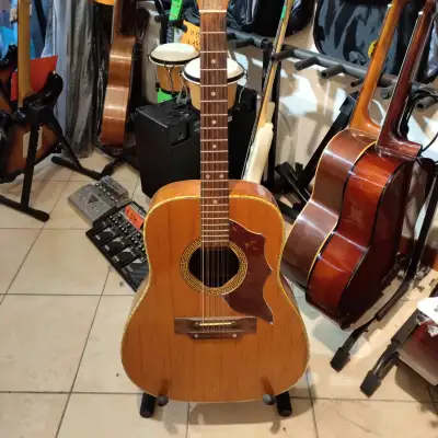 Hoyer  12 Strings 1964 Natural for sale